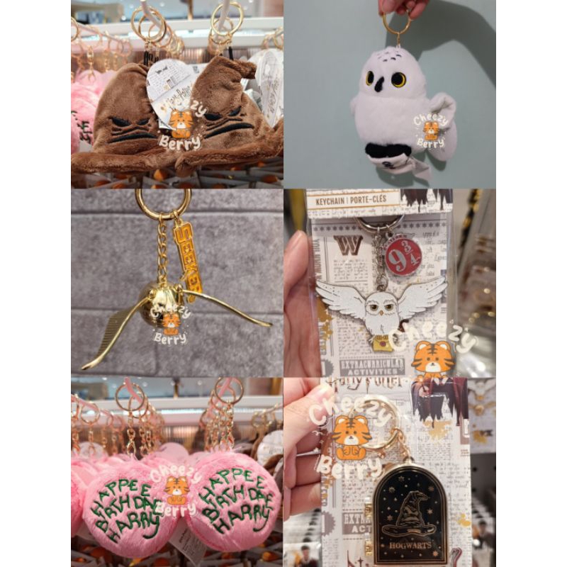 Tumblr Stainless Keychain Harry Potter x Miniso Rare | Ravenclaw Hufflepuff Slytherin Gryffindor Hog