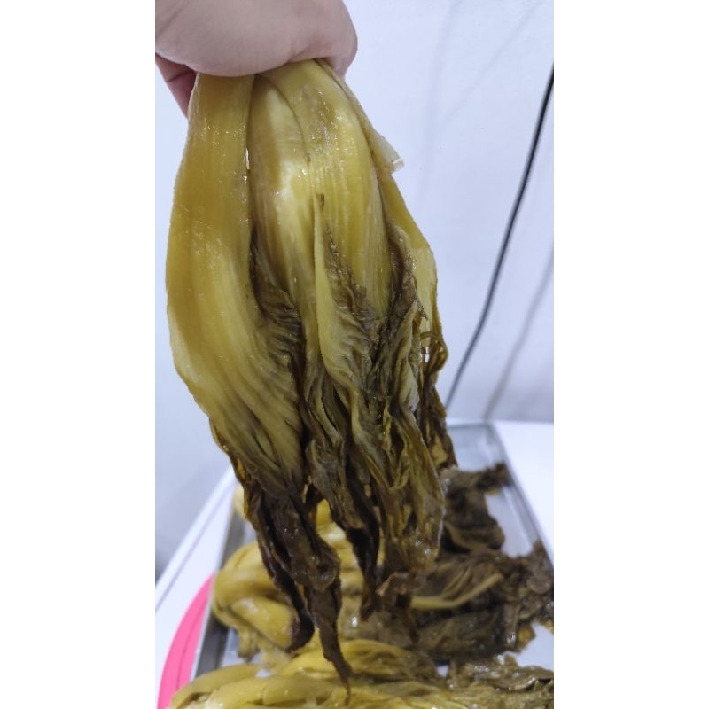 

Sayur asin / hamchoi homemade kalimantan