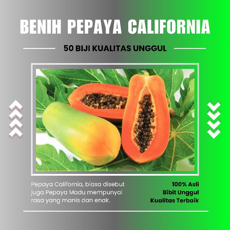 INDOTANI_ 50 biji Benih Pepaya Madu California / Bibit Pepaya Unggul