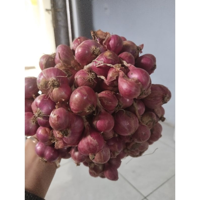 

Bawang Merah Probolinggo
