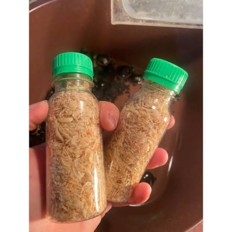 

ebi kering pakan ikan
