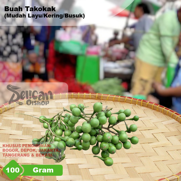 

Pokak/ Rimbang/ Takokak Lalapan Obat Herbal 100 gram