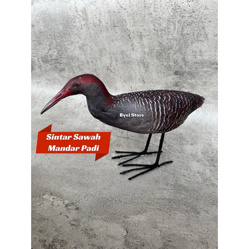 Patung Burung Sintar Sawah / Jontrot Mandar Padi