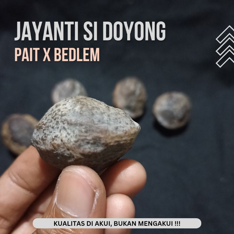 Muncang Kemiri Adu Jayanti Si Doyong Pait X Bedlem Mang Kuya