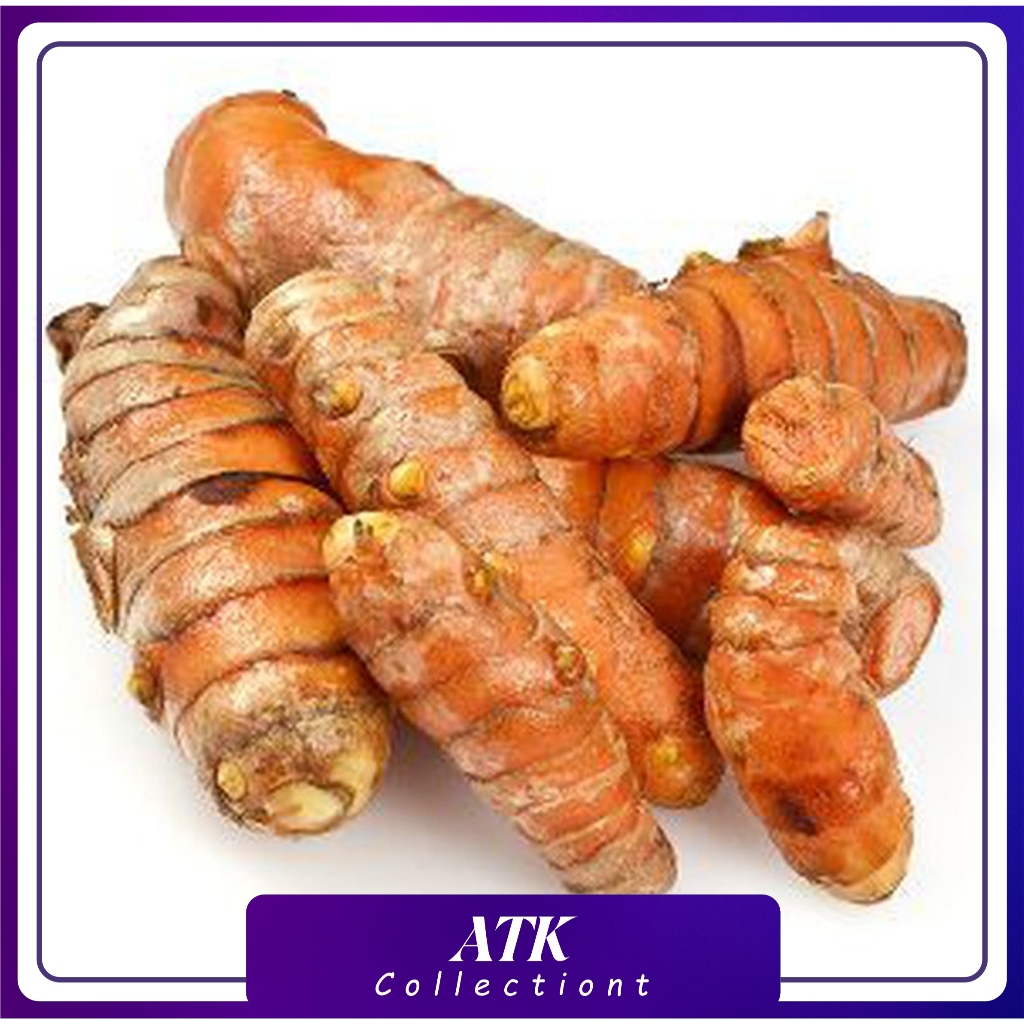 

kunyit kuning sayur segar 1 kg curcuma longa