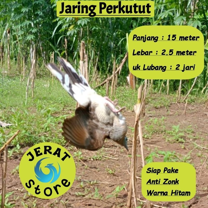 JARING BURUNG PERKUTUT JALA PERKUTUT LOKAL JARING PIKAT KUTUT JARING JEBAK PERKUTUT JALA JEBAK JARIN