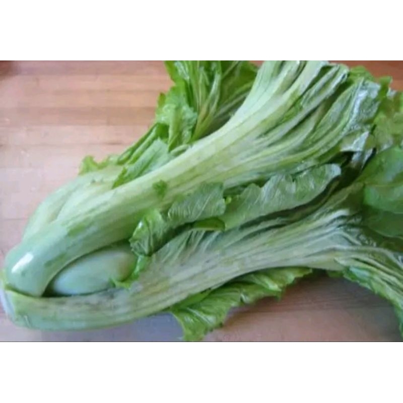 

Sayur sawi pahit segar 250gr..