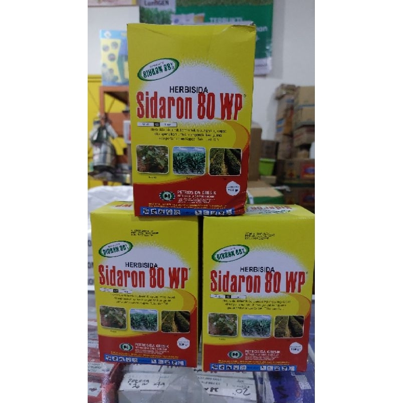 HERBISIDA SIDARON 80WP 500GR UNTUK PEMBASMI RUMPUT DI TEBU / OBAT RUMPUT DI TEBU / SIDARON 80WP 500G