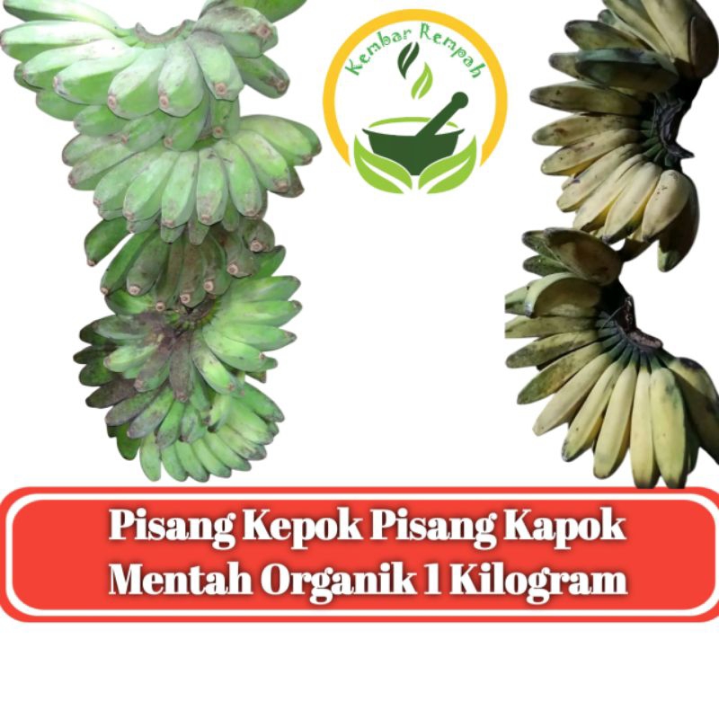 

Pisang Kepok Pisang Kapok Mentah Organik 1 Kilogram