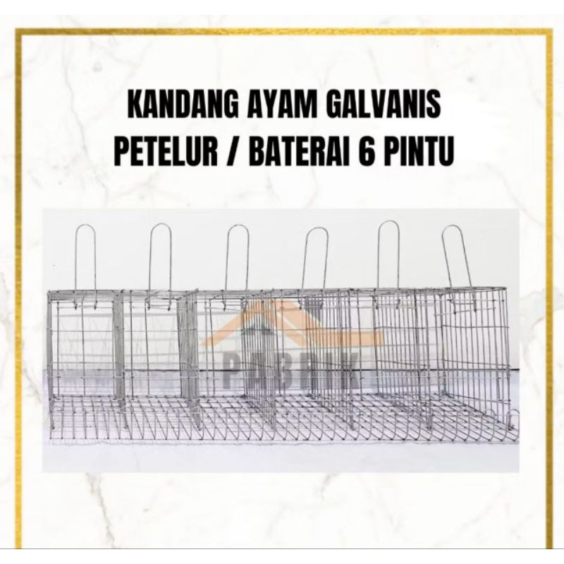 kandang ayam galvanis petelur 6 pintu
