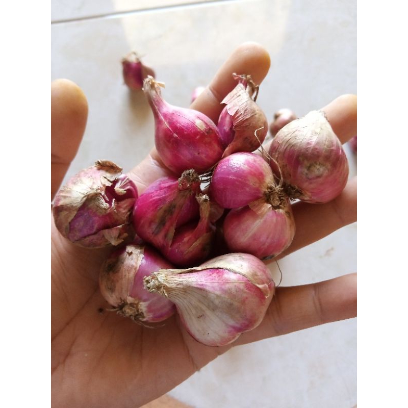 

Bawang Merah Besar ½kg Murah