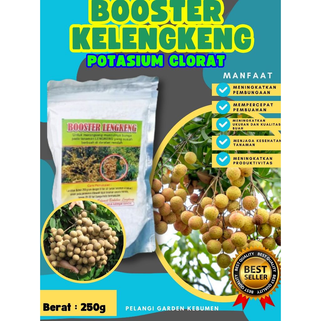 PALING LARIS  Booster Kelengkeng Potasium