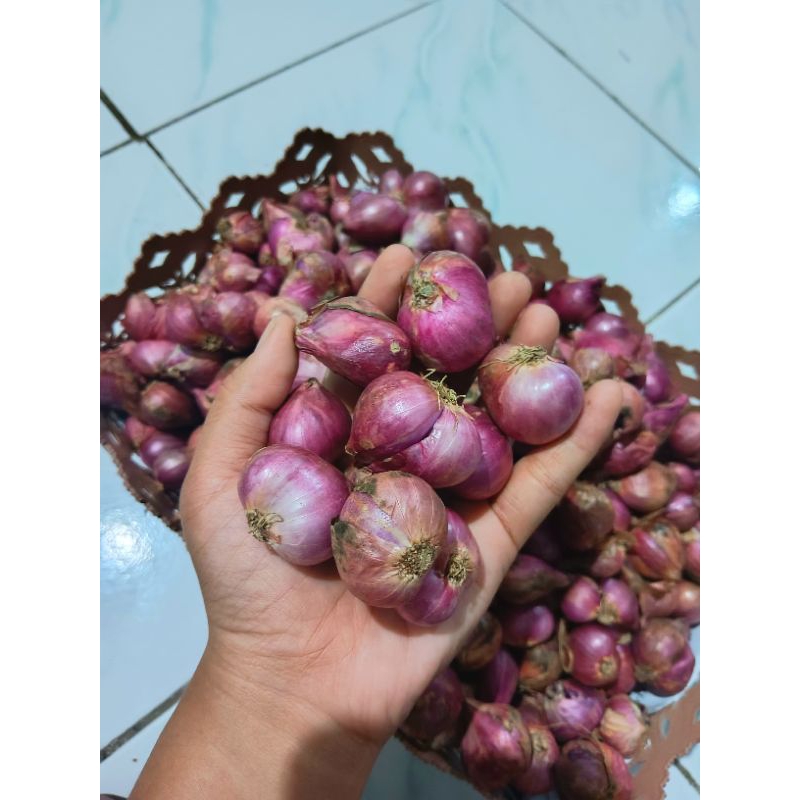 

BAWANG MERAH PROBOLINGGO FRESH KEMASAN 500 GRAM