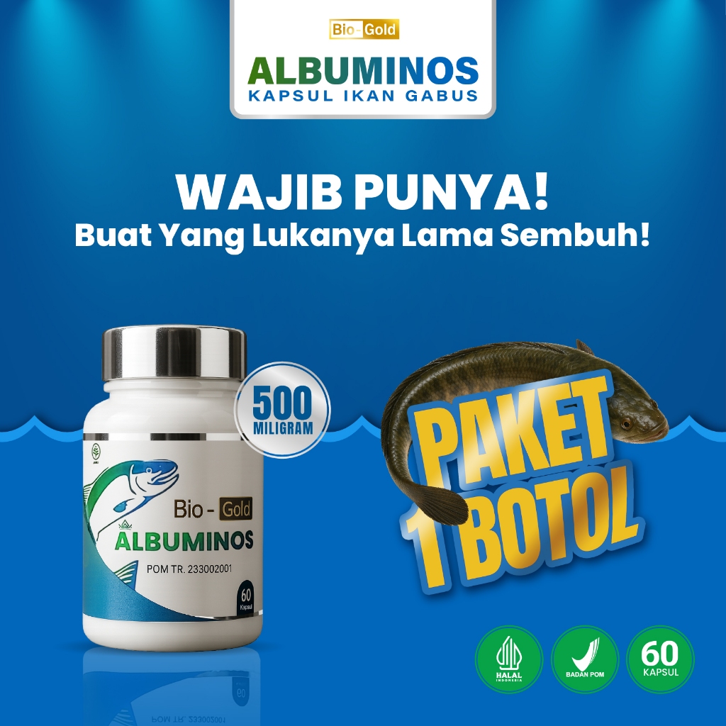 Albuminos - Untuk Penyembuhan Luka Pasca Operasi Usus Buntu Kapsul Ekstrak Ikan Gabus Kutuk Asli