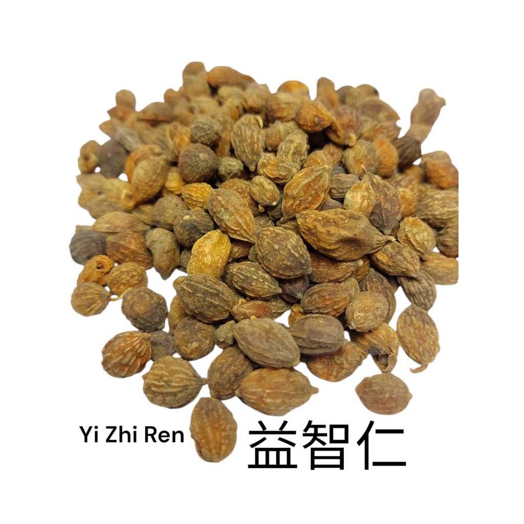 

Yi Zhi Ren 益智仁 Black Cardamon Alpinia Oxyphilla Fruit