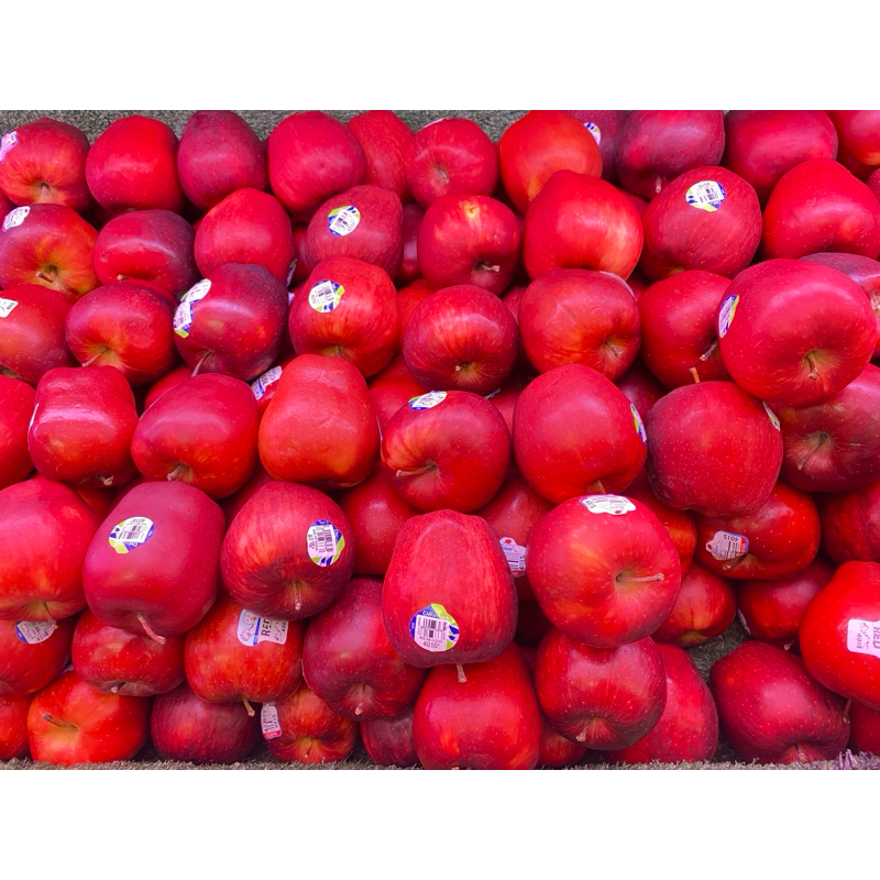 

Apel Merah Washington super 1 kg