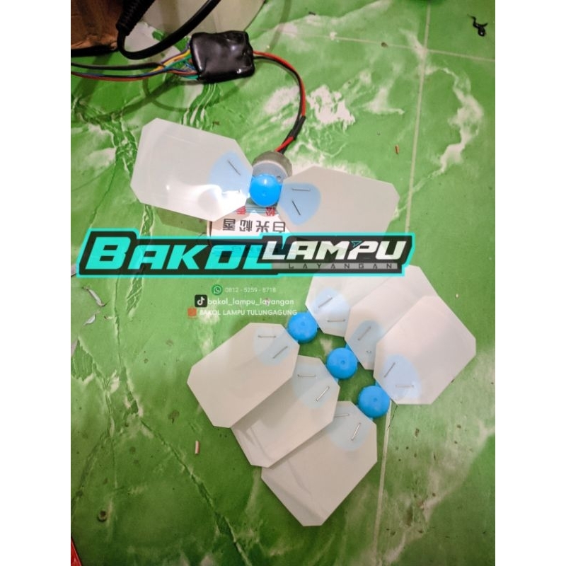 Dinamo OBOHAN / BALAP LAYANGAN