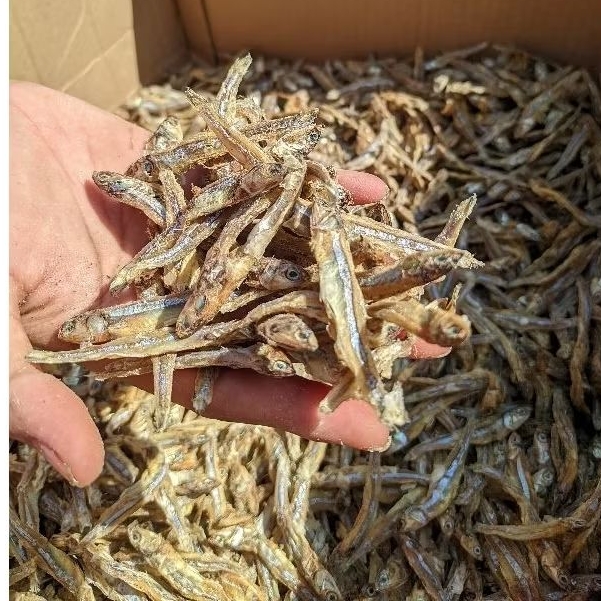 

Teri tawar/tidak asin