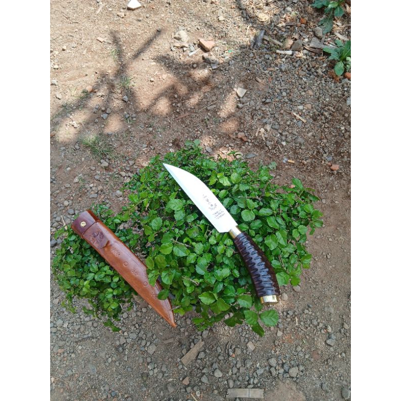 pisau cap garpu mini bilah 14 cm