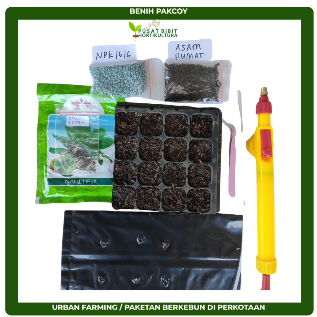 

Cabai Rawit Hijau Urban Farming – Paket Lengkap Tanam Sendiri di Rumah untuk Lahan Terbatas