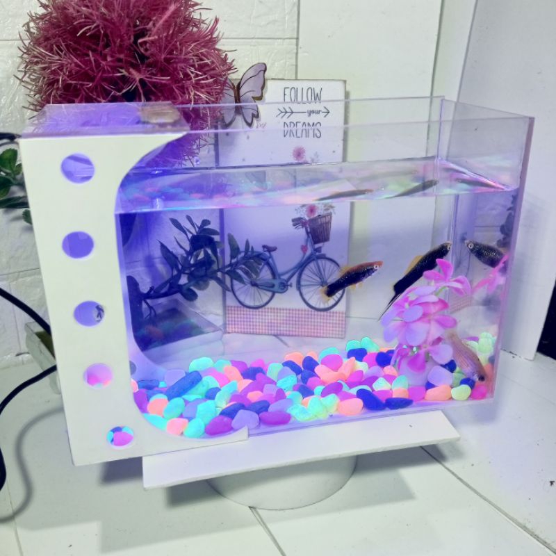 Aquarium Mini Minimalis Lampu Warna Ikan Hias