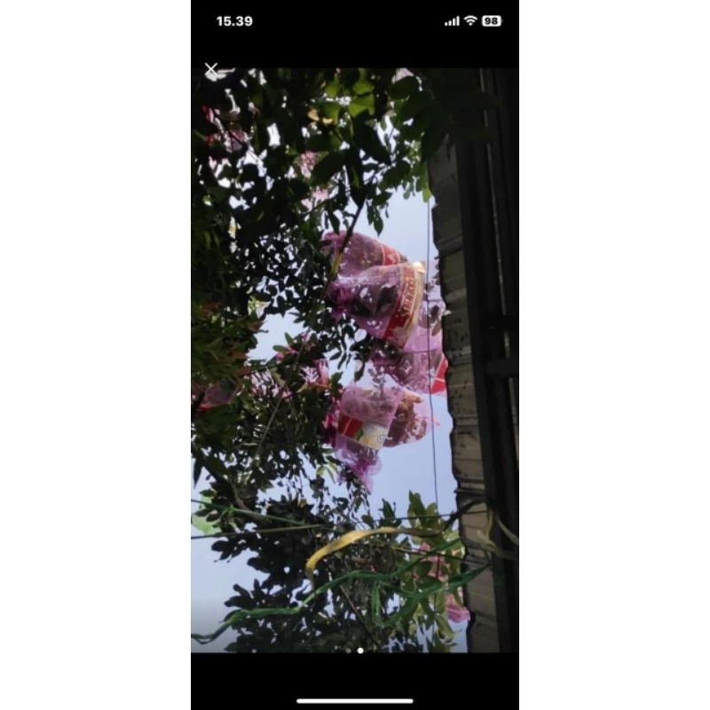 1 lembar brongsong klengkeng ukuran bervariasi