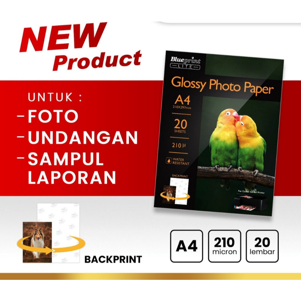 

BACK PRINT Kertas Foto 210 micron Glossy Photo Paper A4 10R BLUEPRINT LITE 20lmbr KERTAS FOTO MURAH