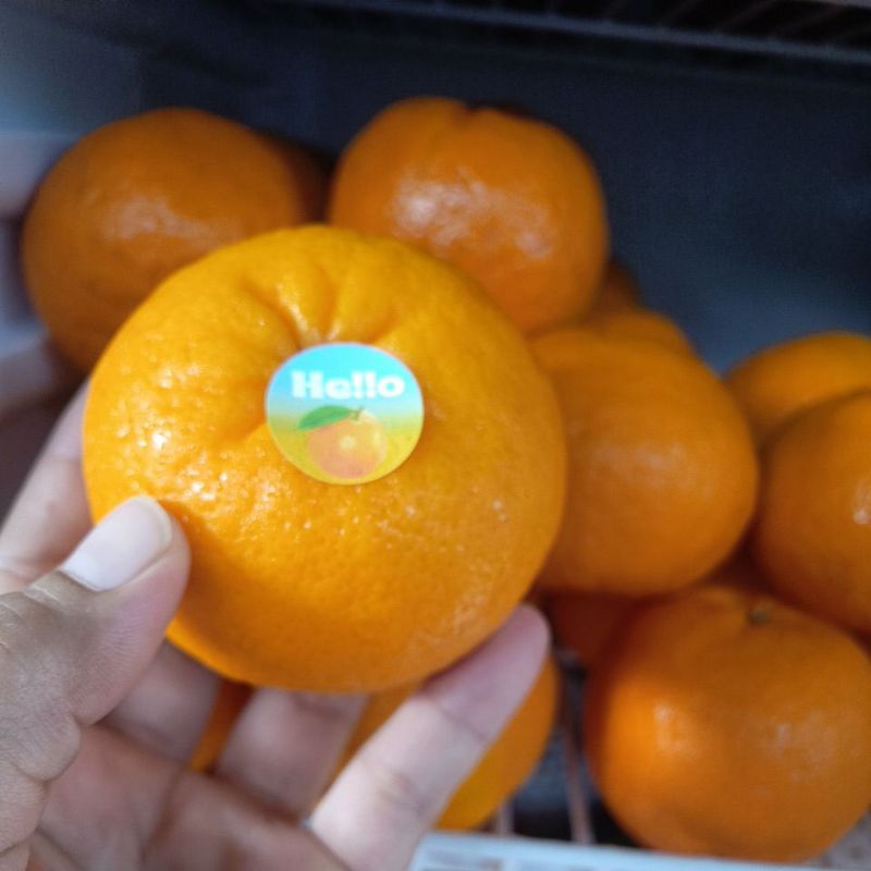 

Jeruk Wokam Manis 1 kg