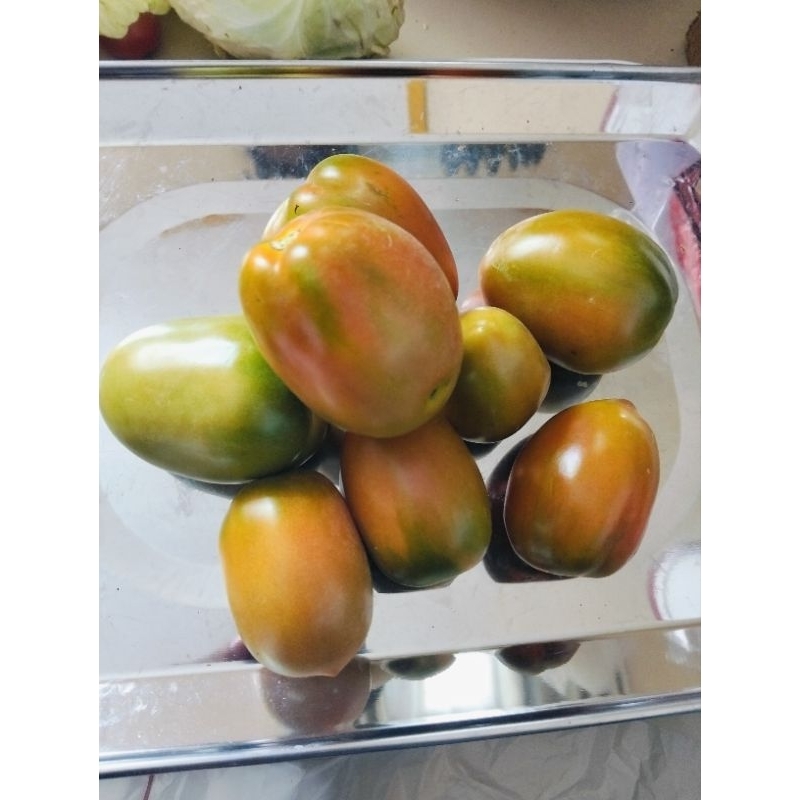 

Tomat Segar Fresh Murah 1kg dan 500gr