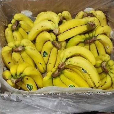 

[PISANG SUNPRIDE KIRIM INSTAN SAMEDAY] Pisang Hand (Sisir) Cavendish Sunpride