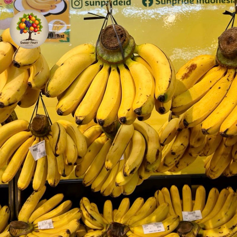 

Pisang Barangan Fresh | Pisang Barangan medan 1 sisir