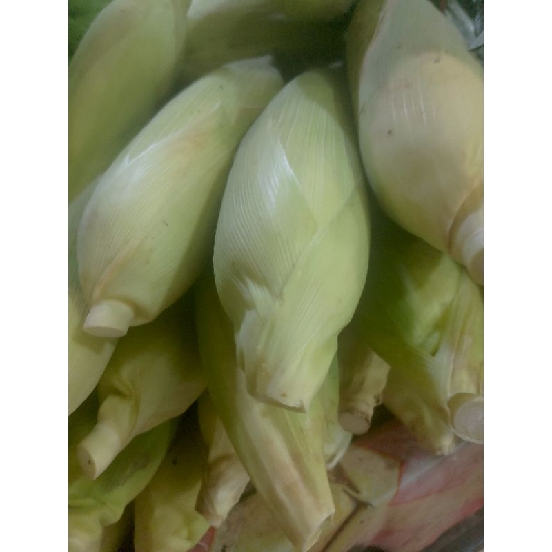 

Jagung manis Jagung madu sayur segar sayuran segar