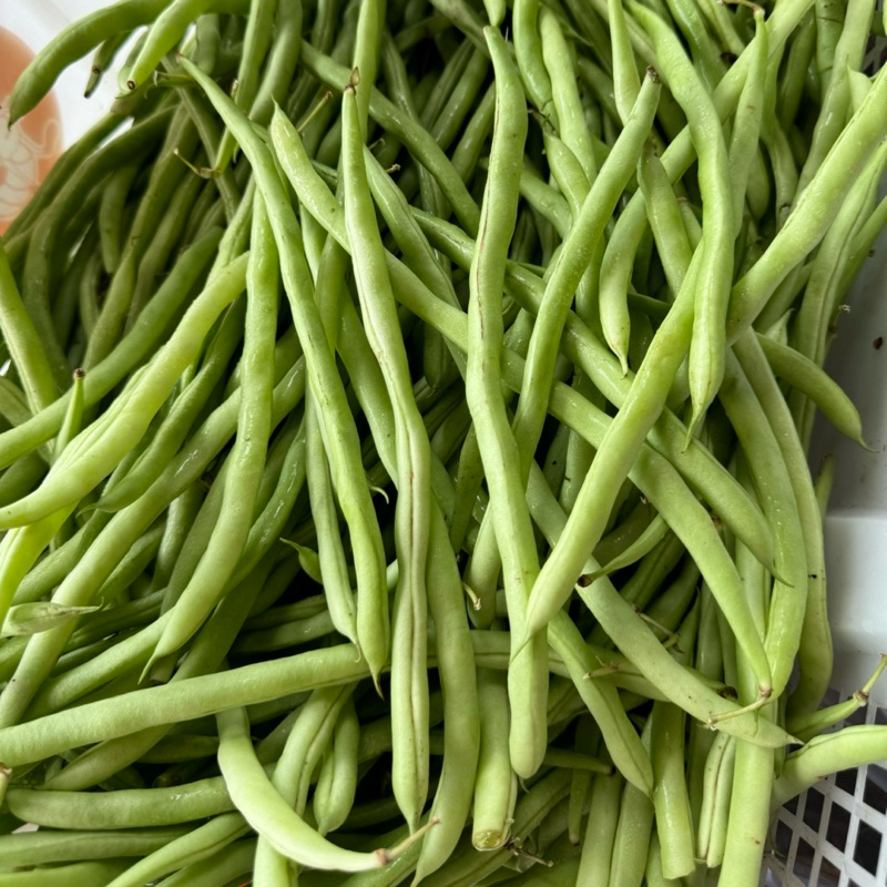 

Buncis 250gr / Sayuran / Sayur Buncis