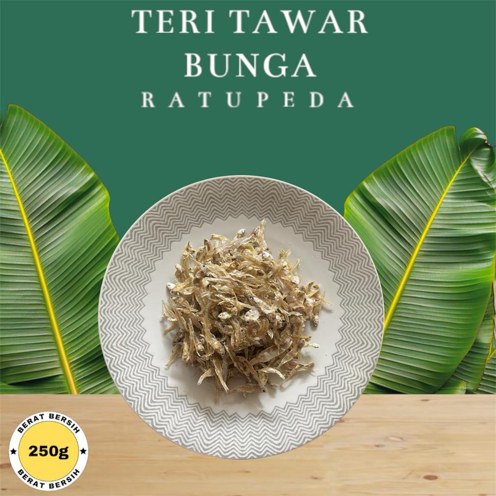 

Ikan Asin Tipis Teri Kering Tawar Murah 1 kg , 500gram,250gram - Ratu Peda Acin
