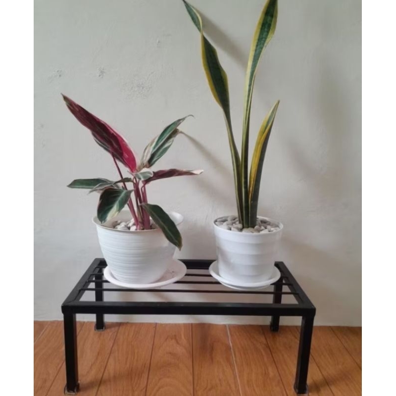 rak tanaman hias / pot bunga / rak hidroponik besi hollow