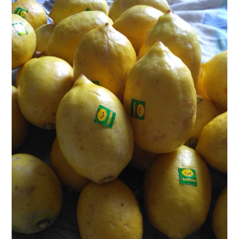 

Lemon sigles / Lemon lokal / Fresh baru metik / Jeruk lemon diet