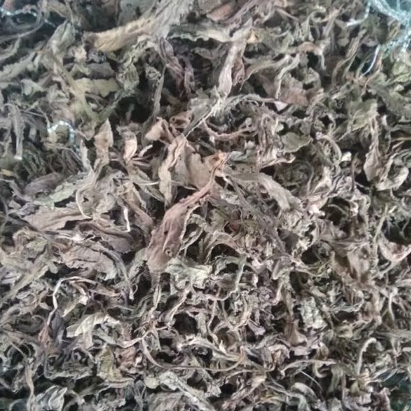 

Daun Tapak Liman KERING isi 100 Gram elephantopus scaber