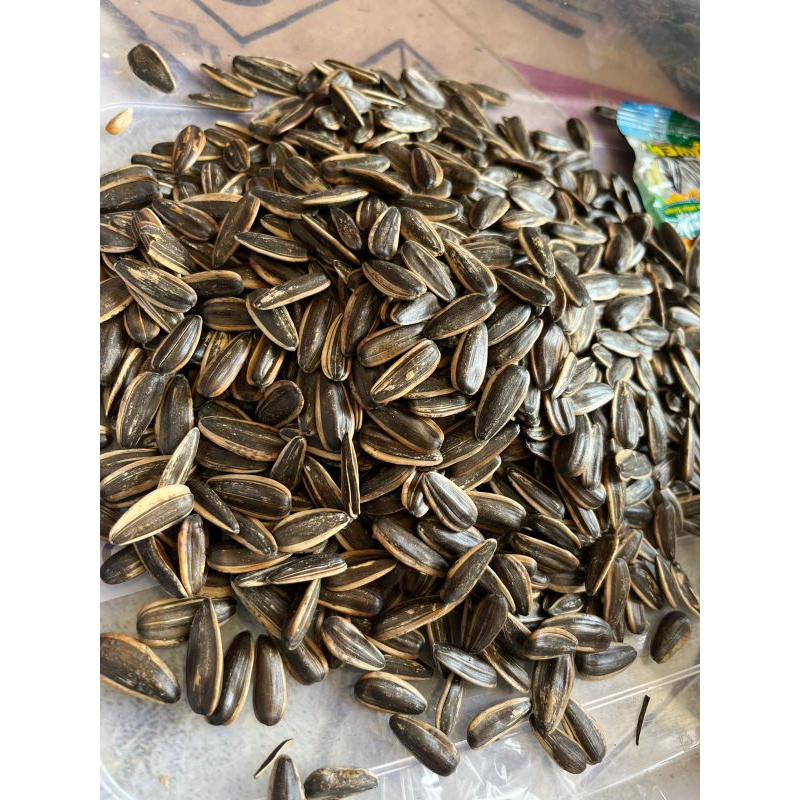 

kwaci bunga matahari rasa original 1kg