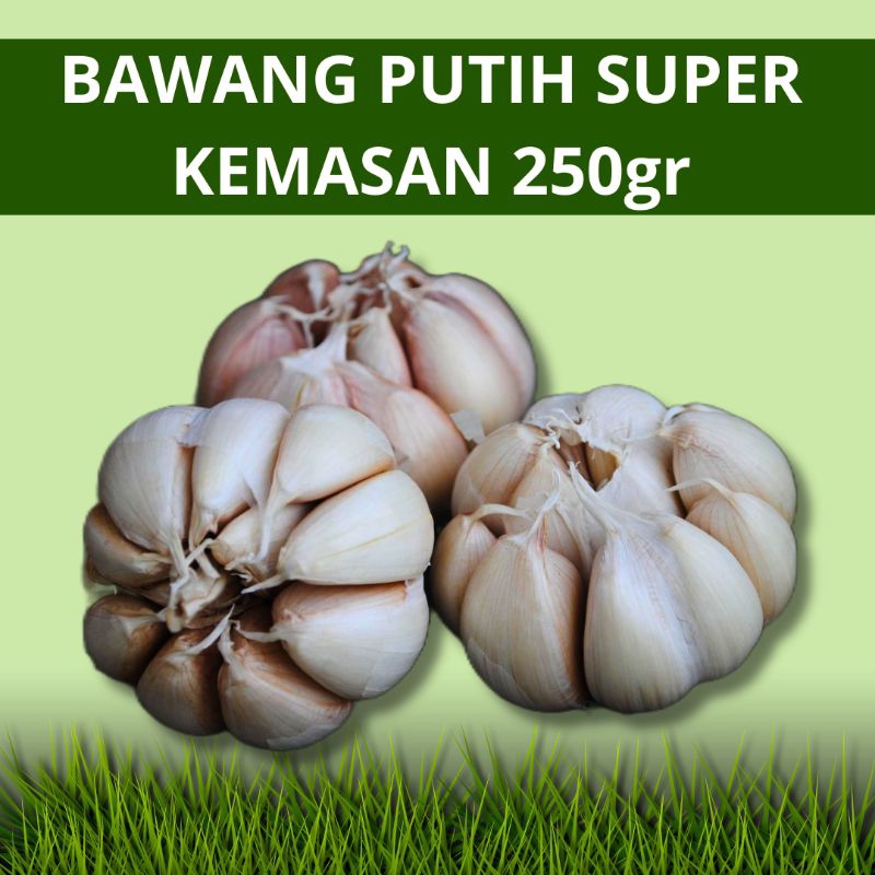 

Bawang Putih 250g Kualitas Super