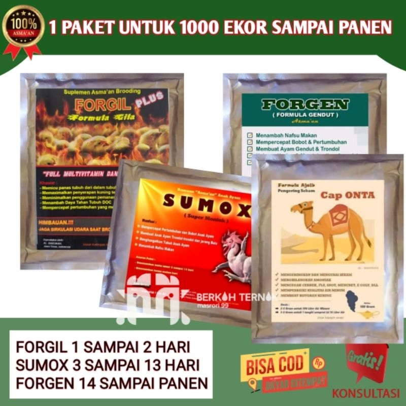 FORGIL SUPLEMEN BRODING SUMOX FORGEN CAP ONTA