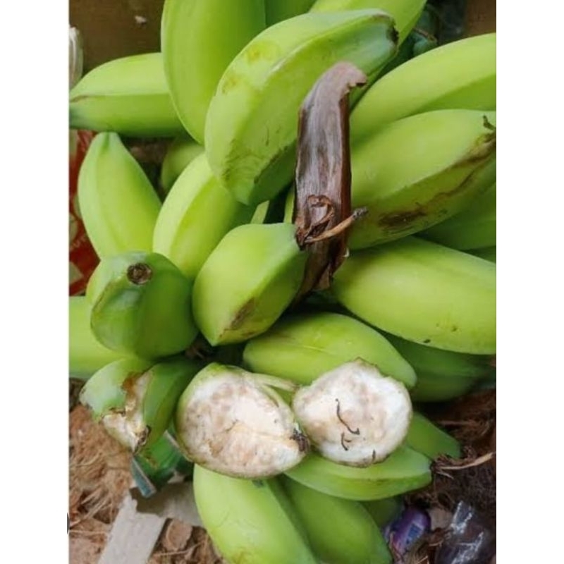 

Pisang kulutuk atau pisang batu 500 gram