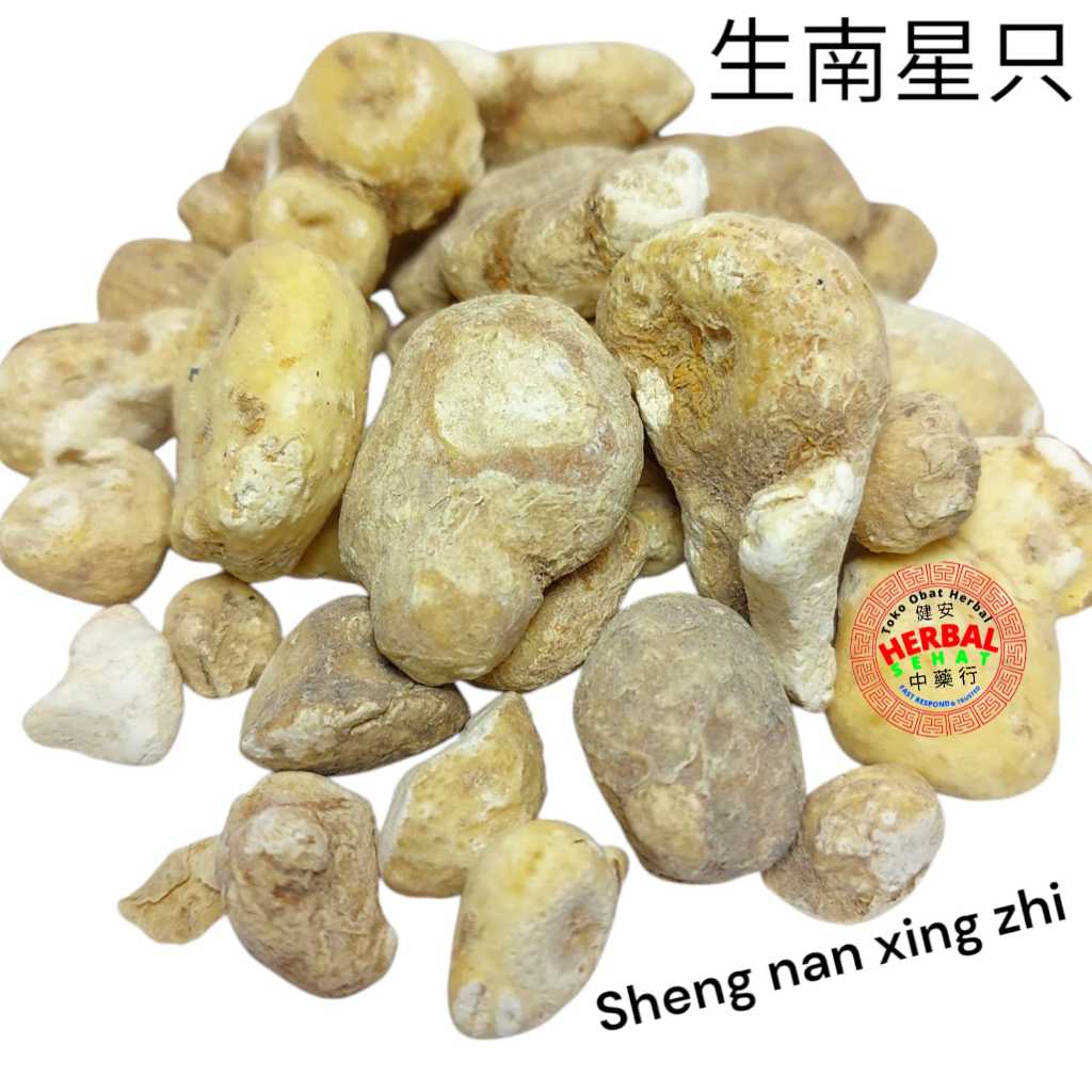 

Sheng Nan Xing Zhi 生南星只 Arisaema - Mentah