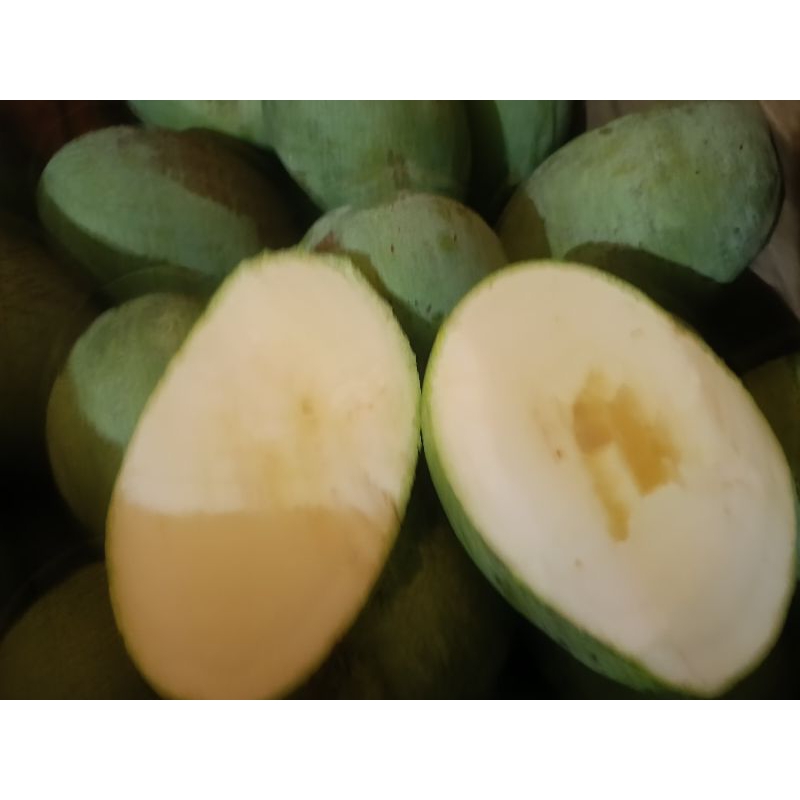 

Mangga Madu Manalagi kondisi tua bisa mateng isi 3-4