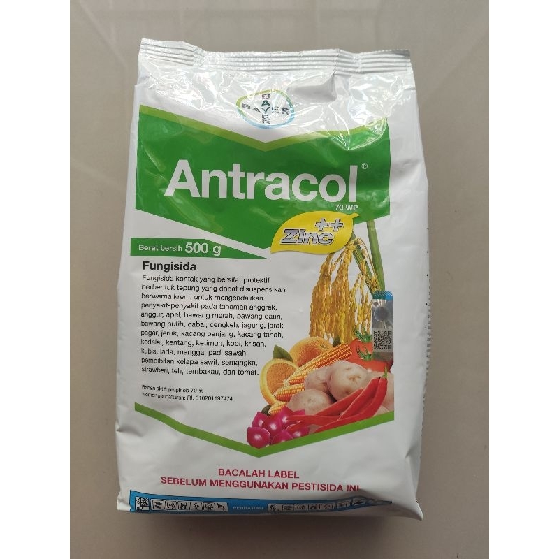 ANTRACOL 70WP 500 Gram