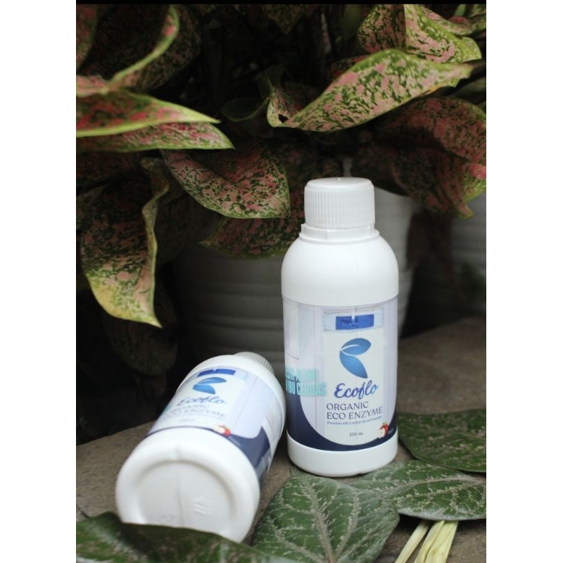 Ecoflo Floor Cleaner