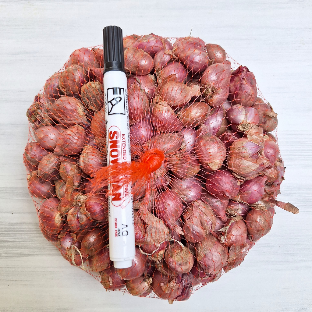 

Bawang Merah Sulawesi Ukuran Tanggung Kering Berganransi