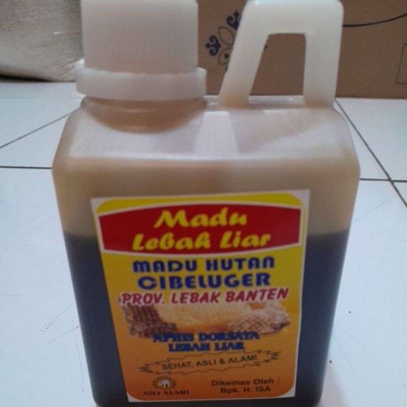 

Madu Lebah Liar