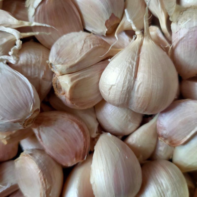 

Bawang Putih Kating BERSIH 1/2 kg