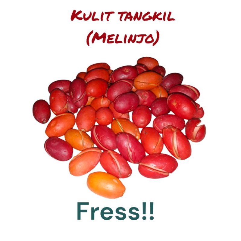 

kulit tangkil (melinjo) fress 500gram tangkil pegunungan