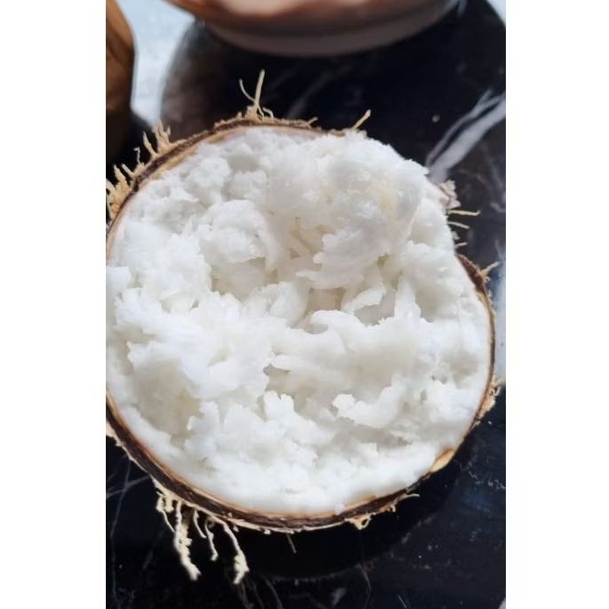 

Kelapa Kopyor Lampung